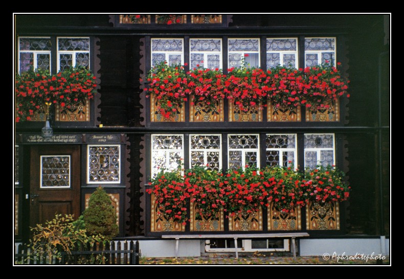 11 Typische Fassade in Urnäsch